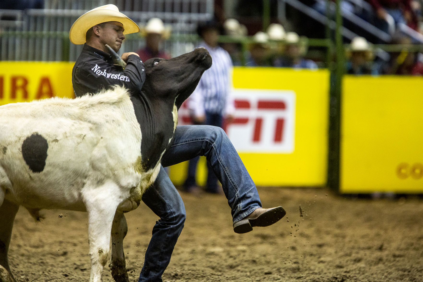 CNFR Wednesday